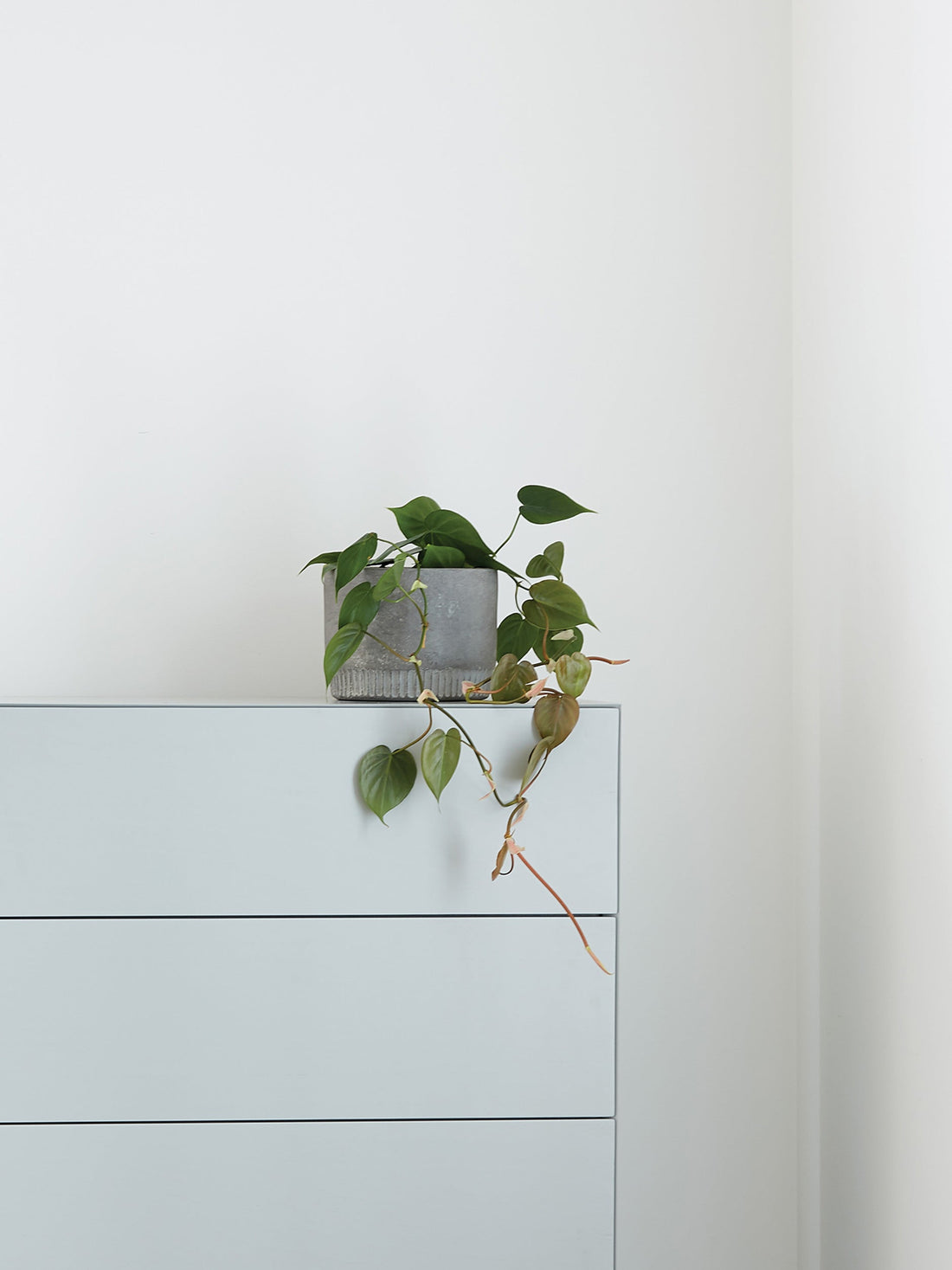 Planters