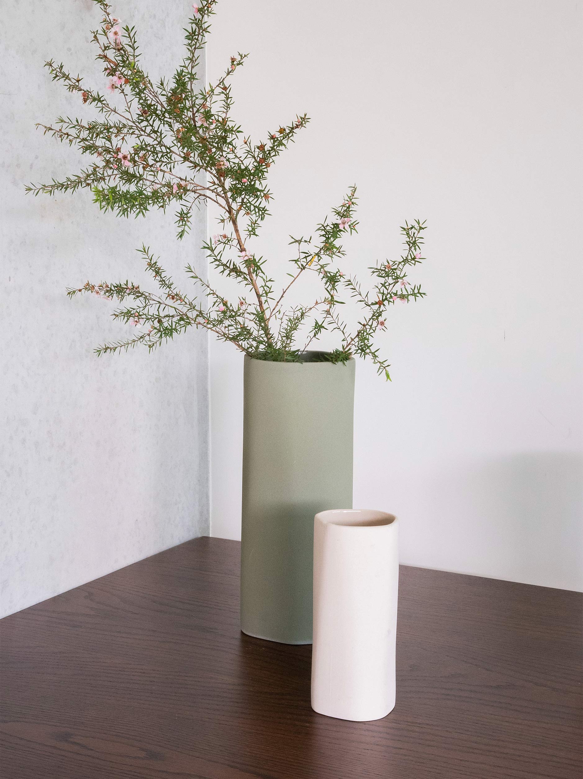 Fossil Vase Fern / Large