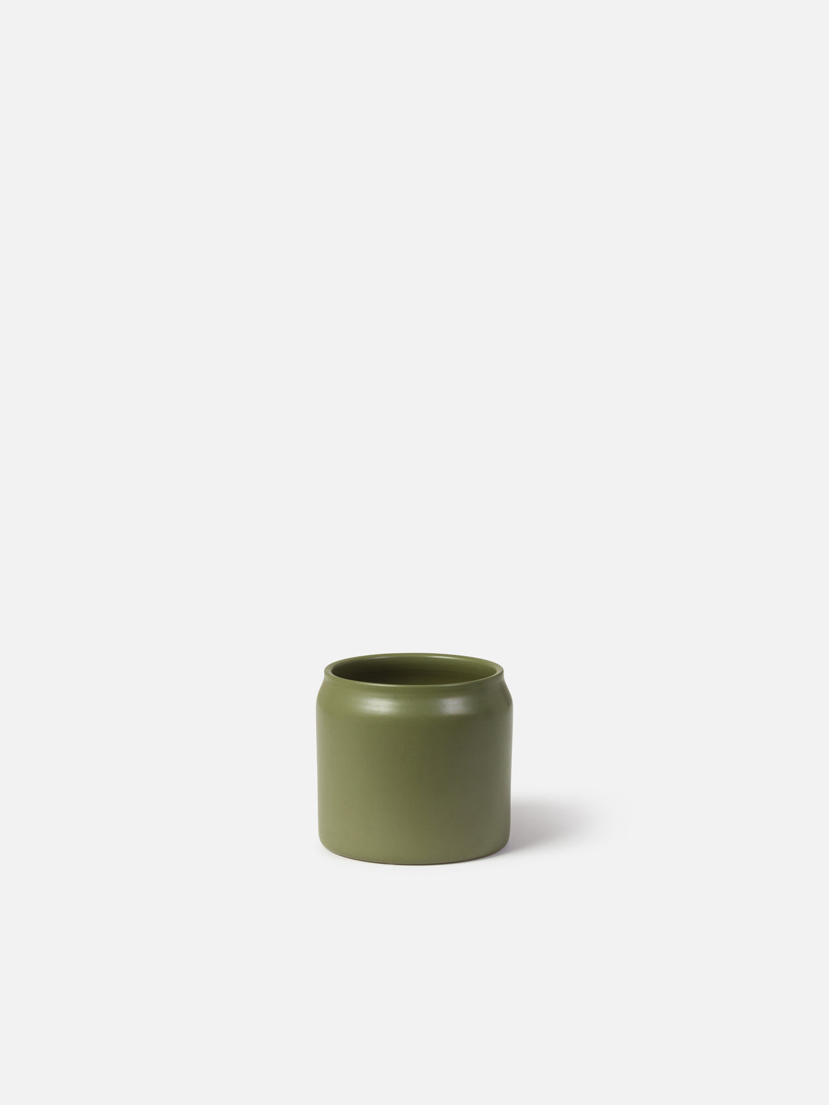 Plant Pot Fern / Small