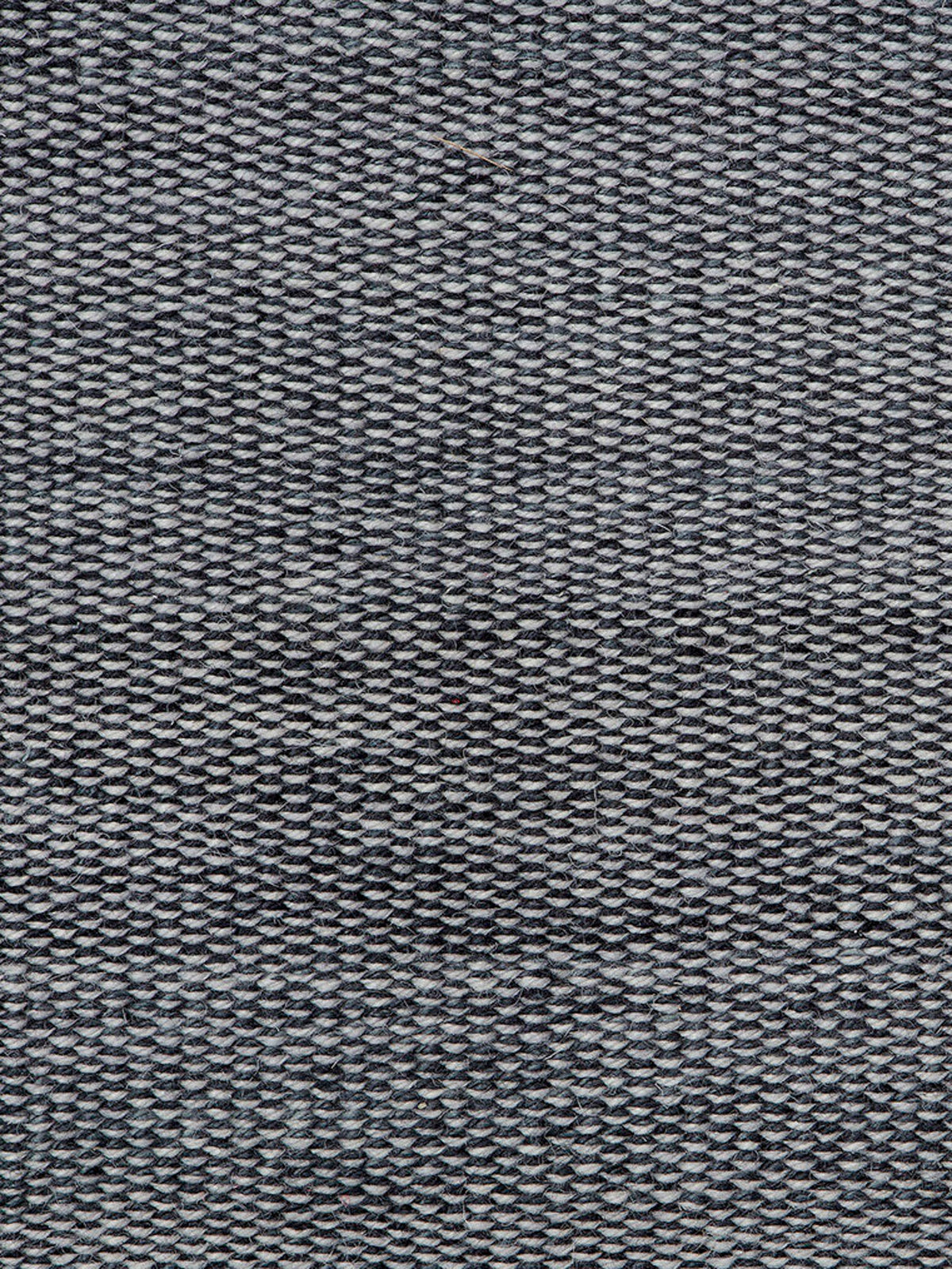 Fabula Bellis Rug