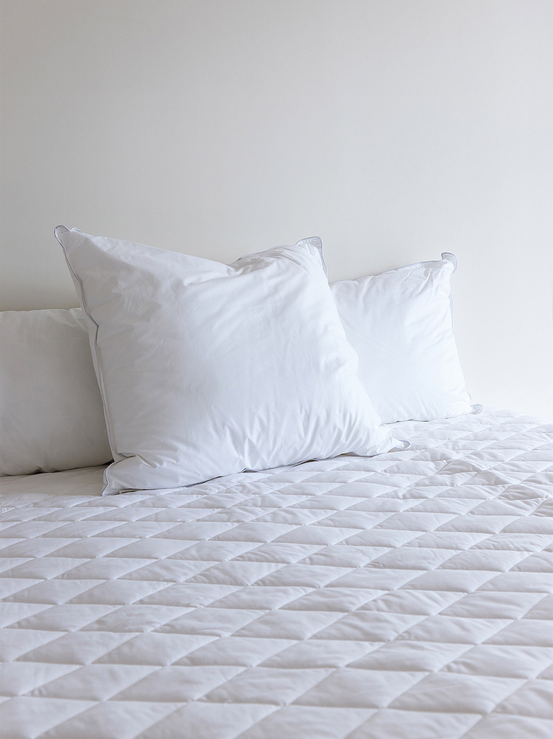 Organic Cotton Fitted Mattress Protector White / Long Single
