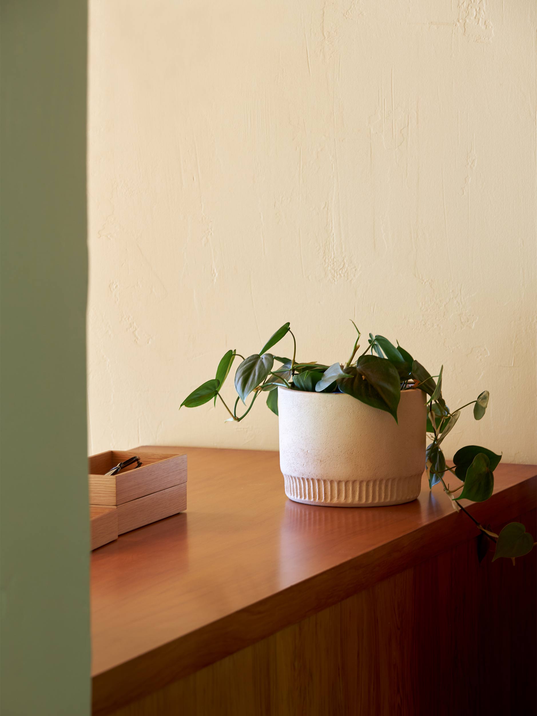 Harvest Planter Natural / Medium