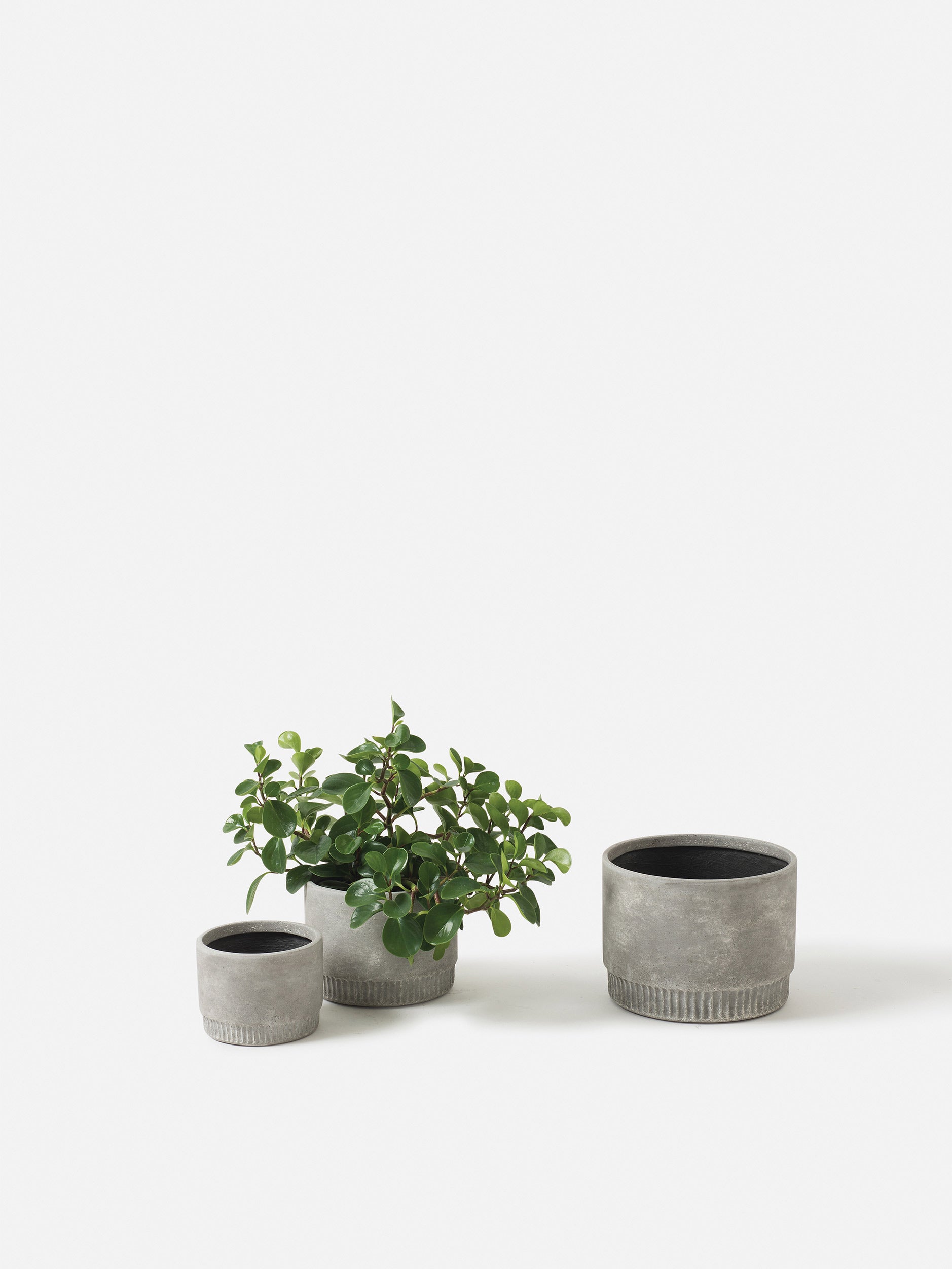 Harvest Planter Ash / Large