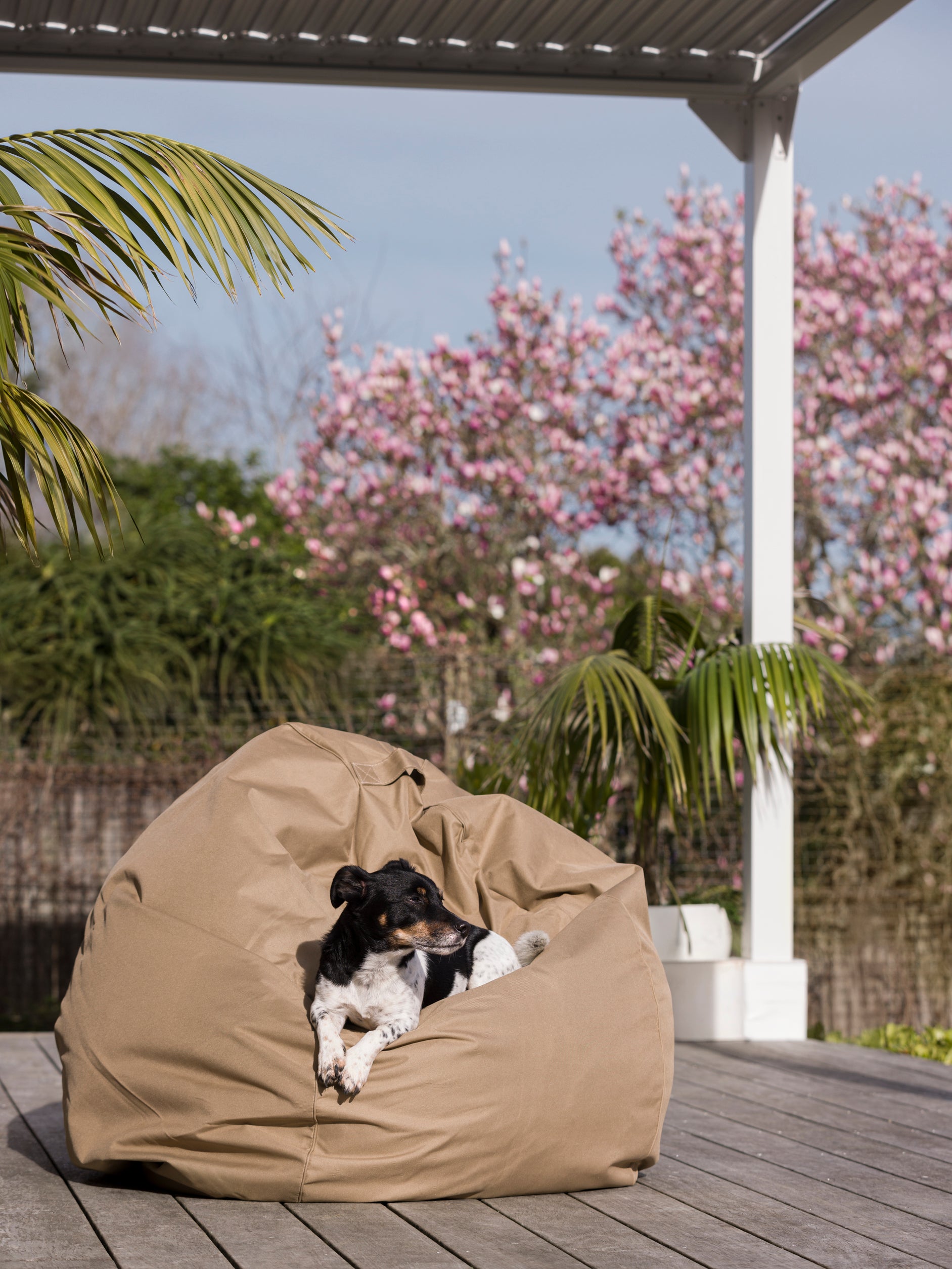 Bean Bag Taupe / 300L