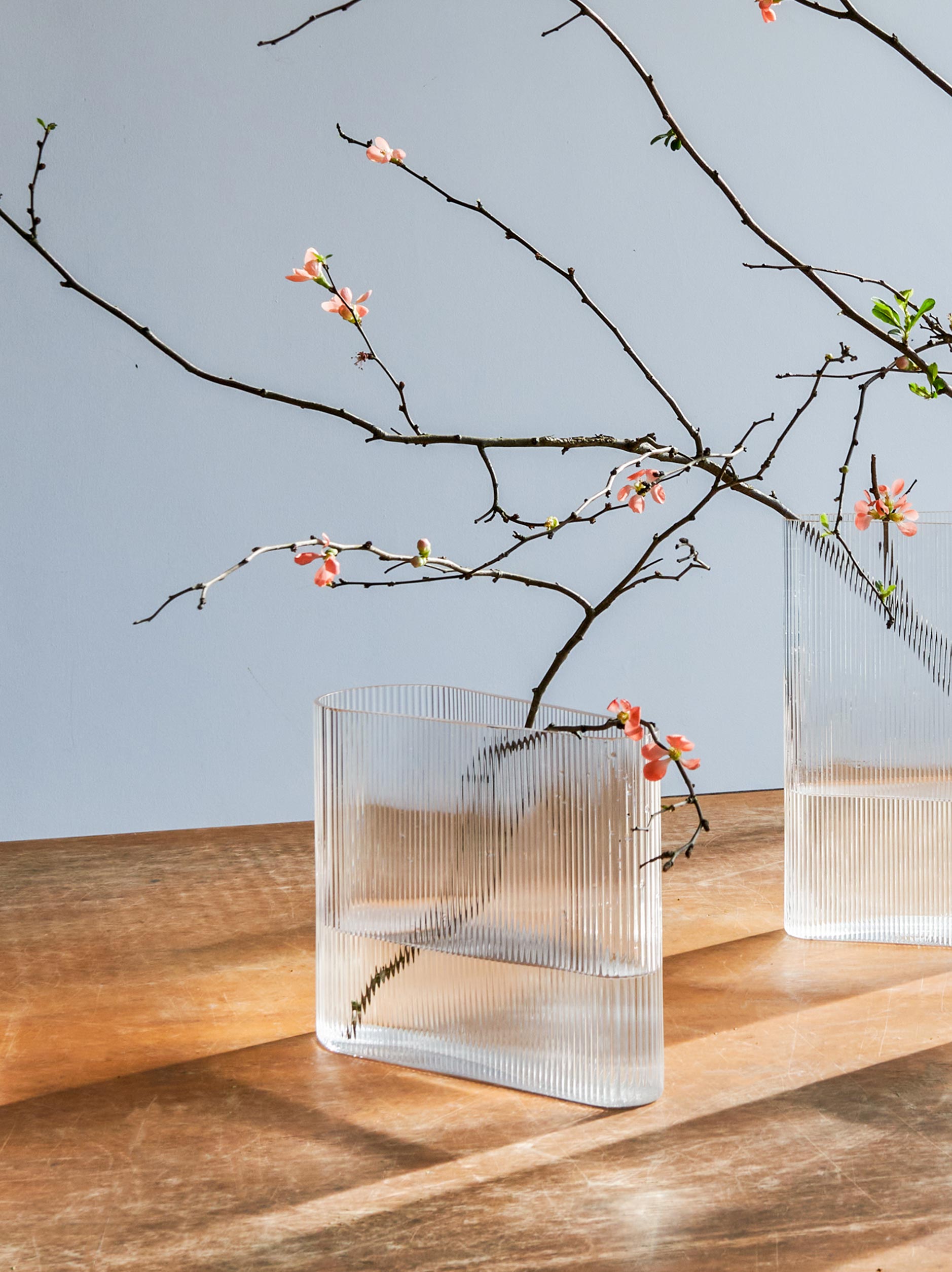 Nude Mist Vase Clear / Small