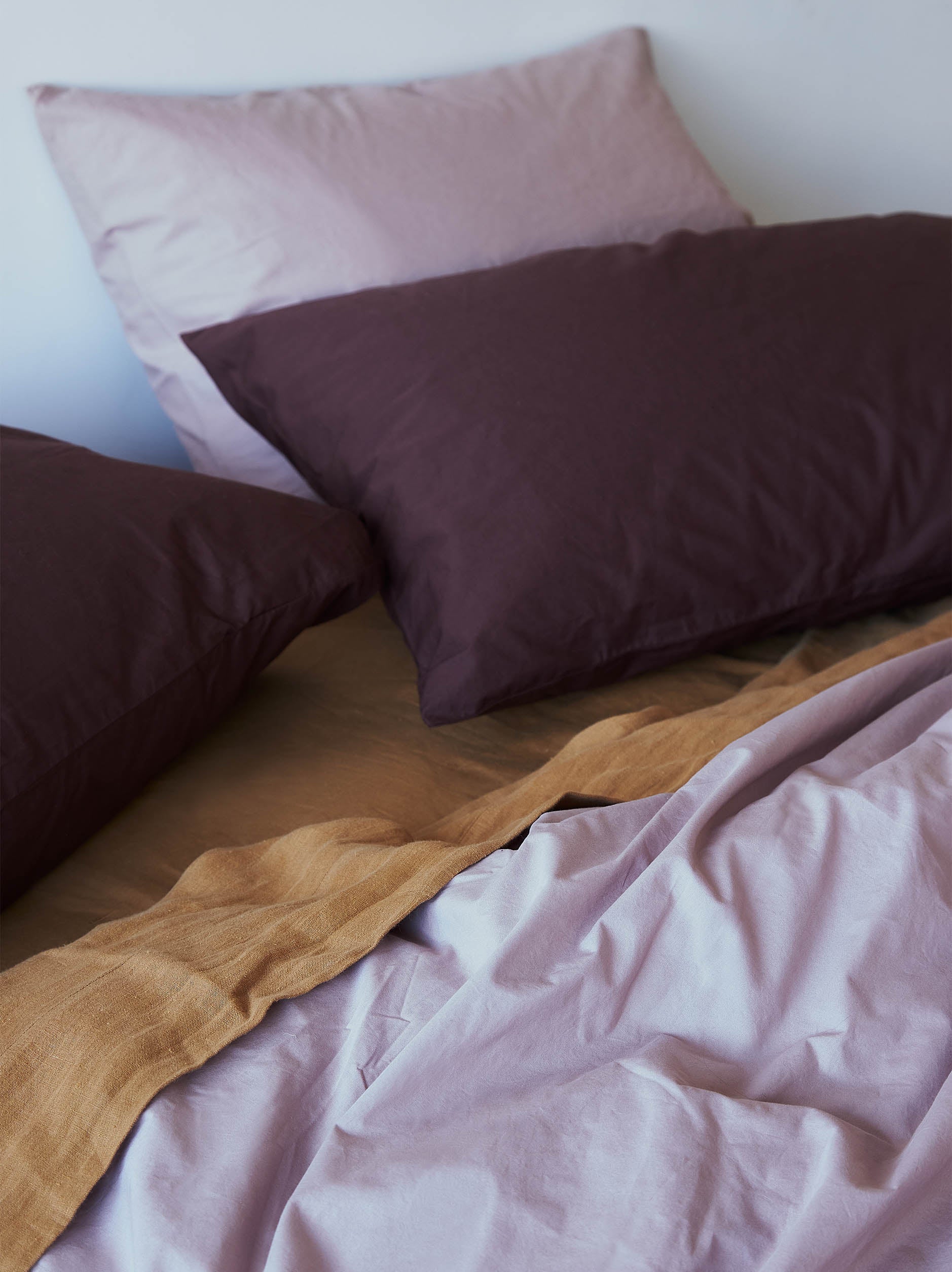 Thistle Organic Cotton Euro Pillowcase Thistle / Euro Pillowcase