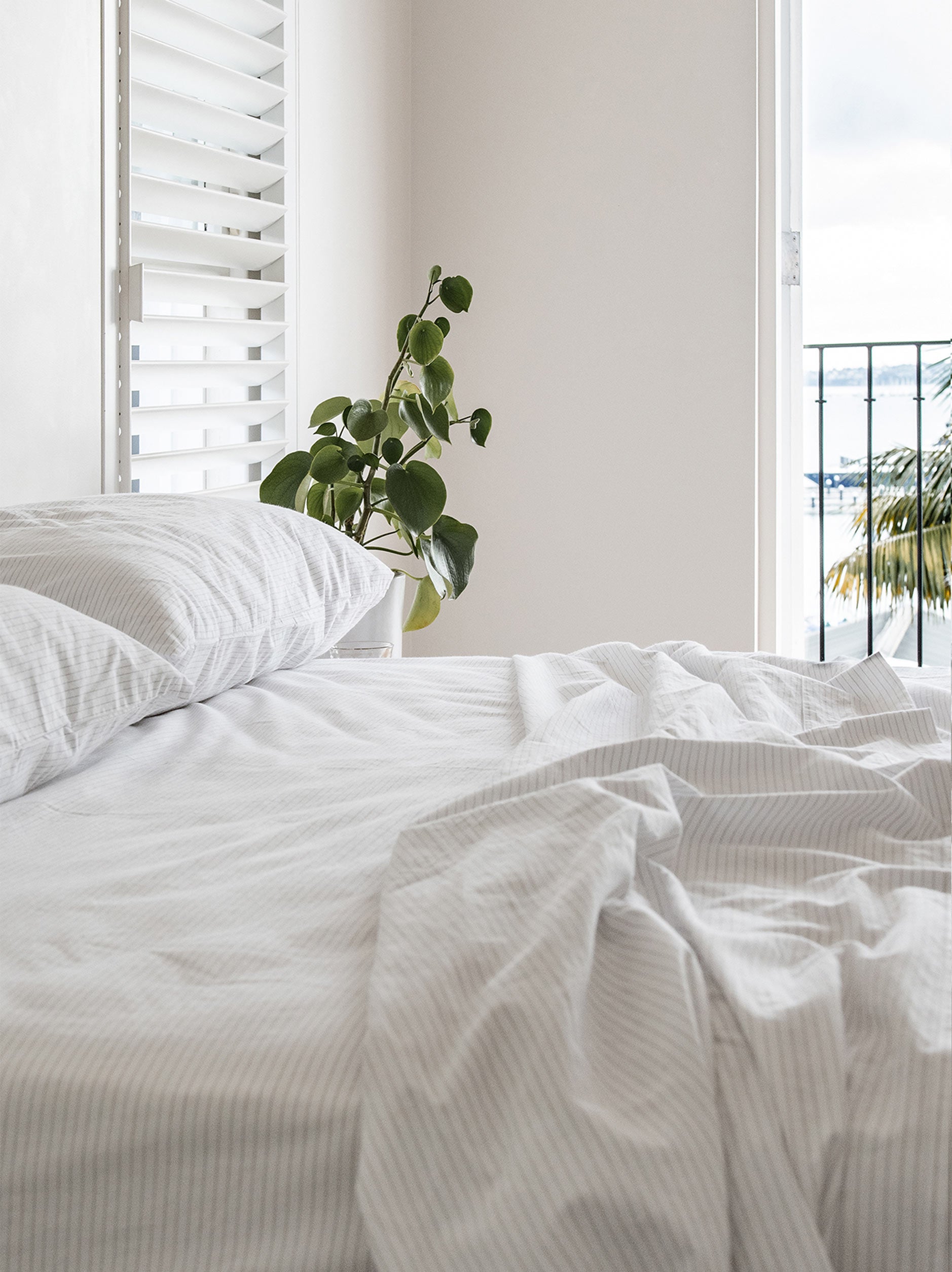 Pinstripe Organic Cotton Flat Sheet White/Grey / King